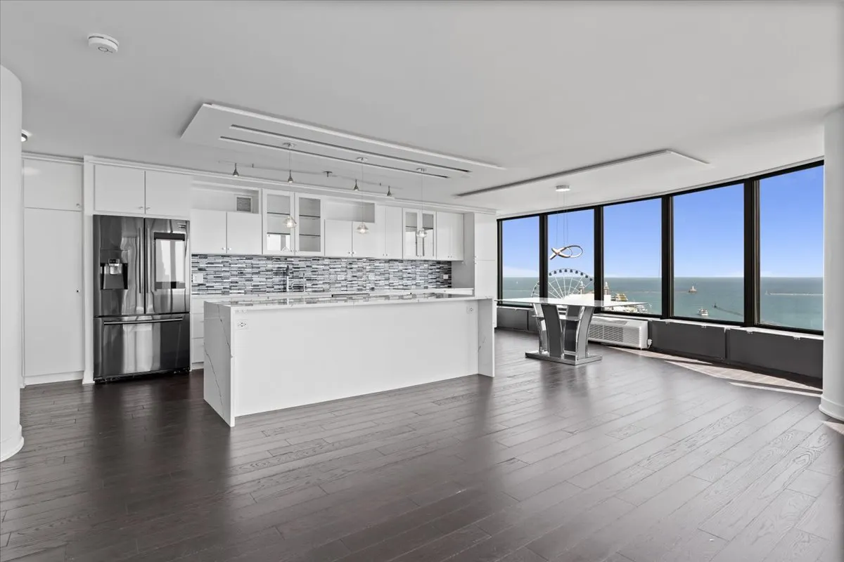 505 N Lake Shore Drive 2010-2011 IL