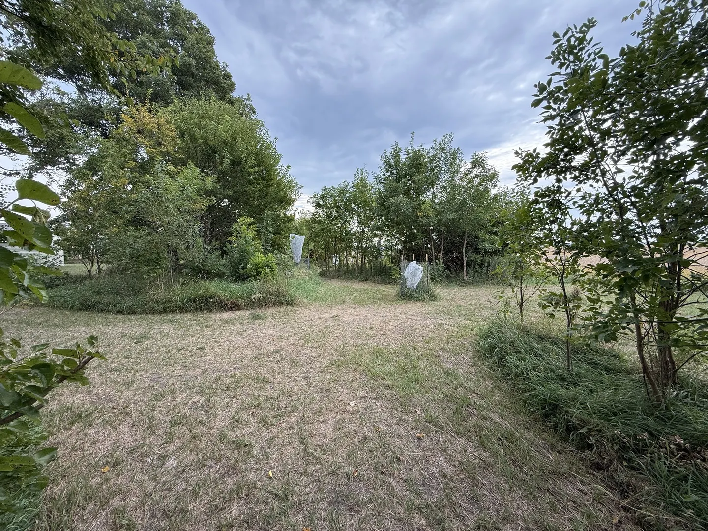 663 1525 East Street IL