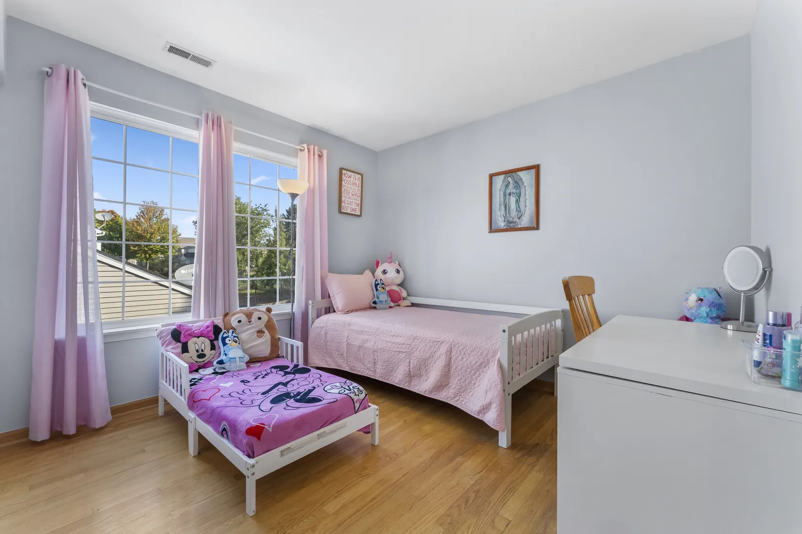 10 Ronan Court IL