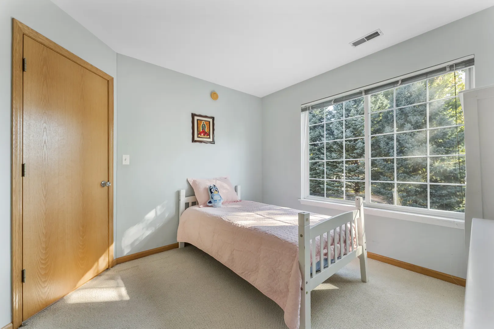10 Ronan Court IL