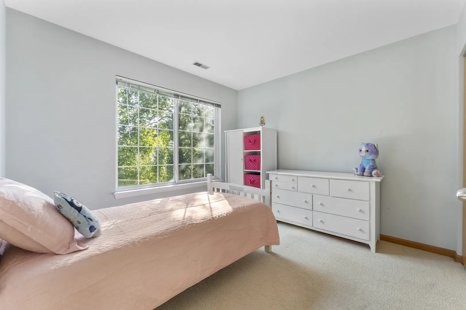 10 Ronan Court IL