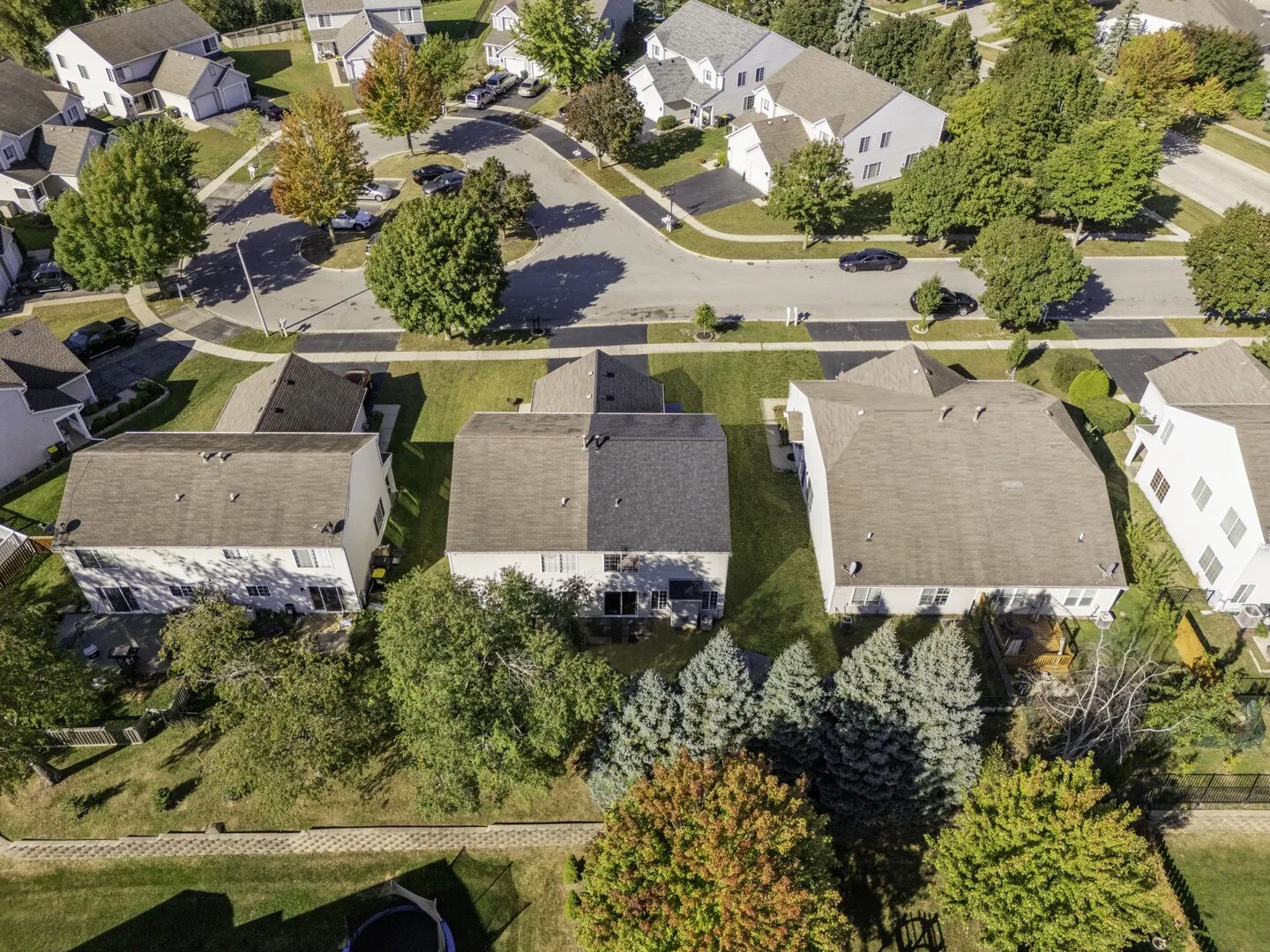 10 Ronan Court IL