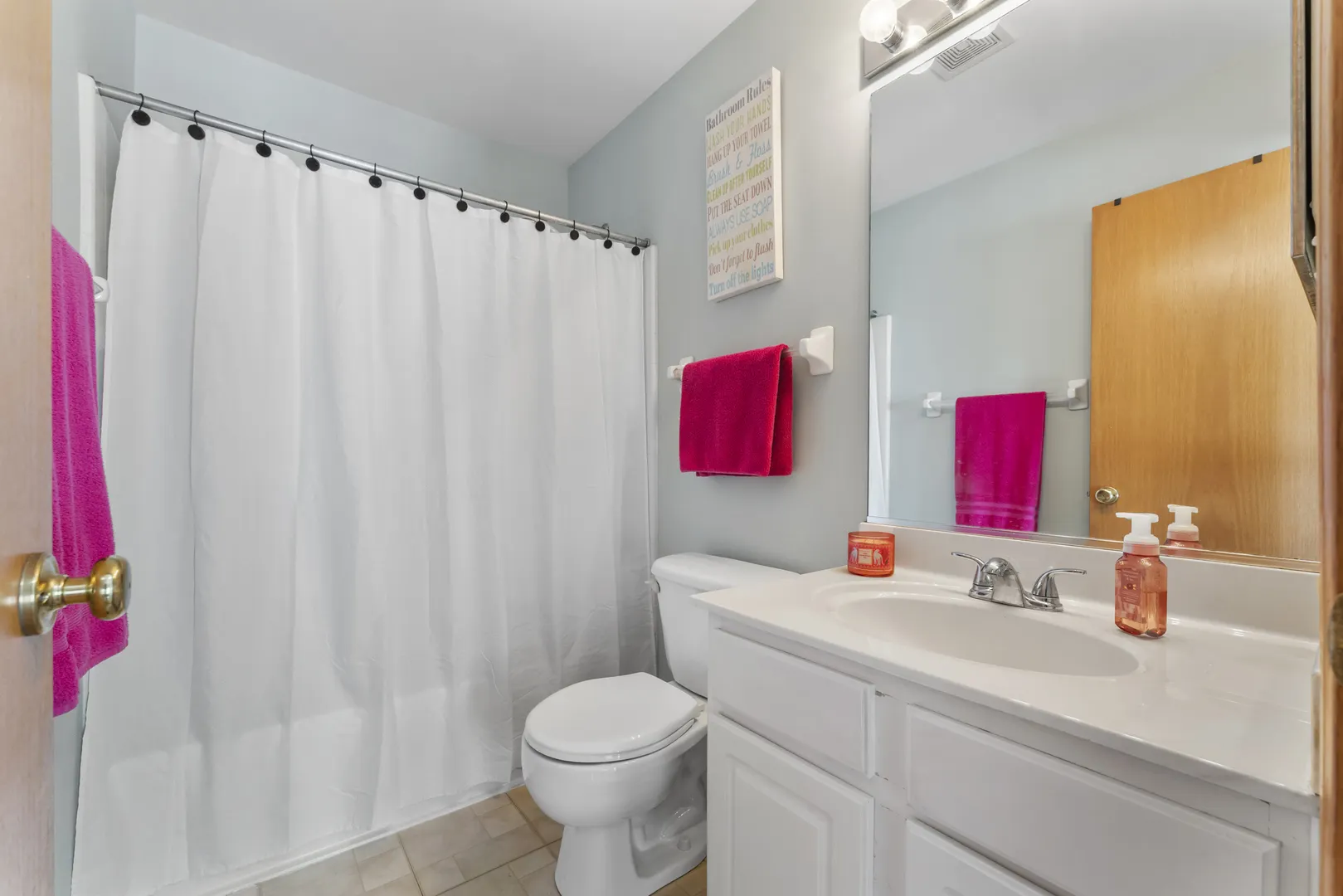 10 Ronan Court IL