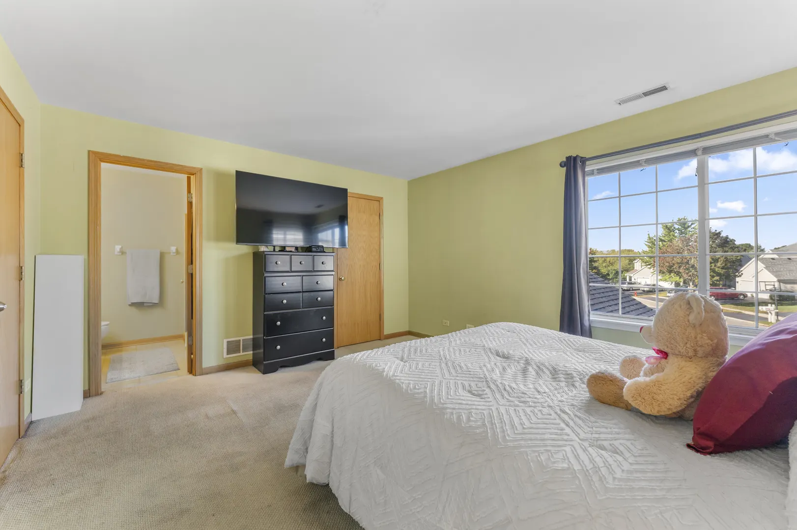 10 Ronan Court IL