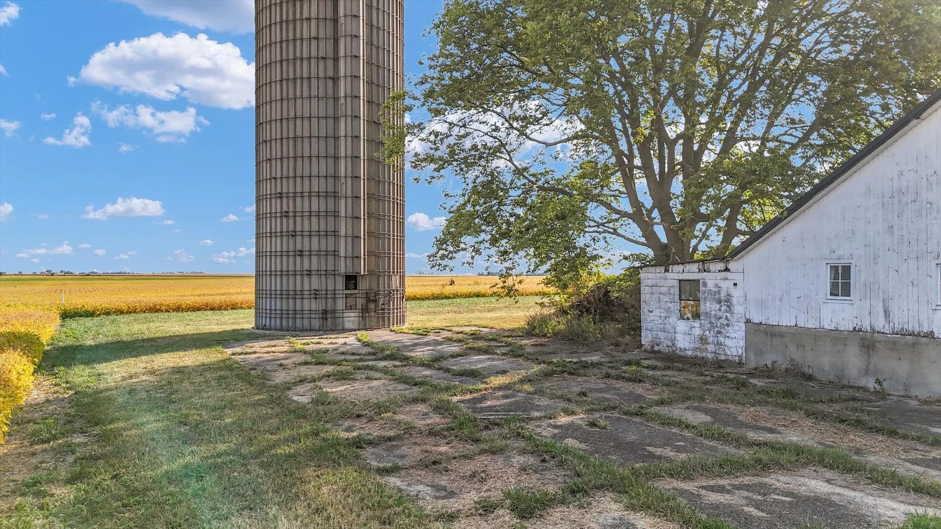 239 County Road 3300 IL