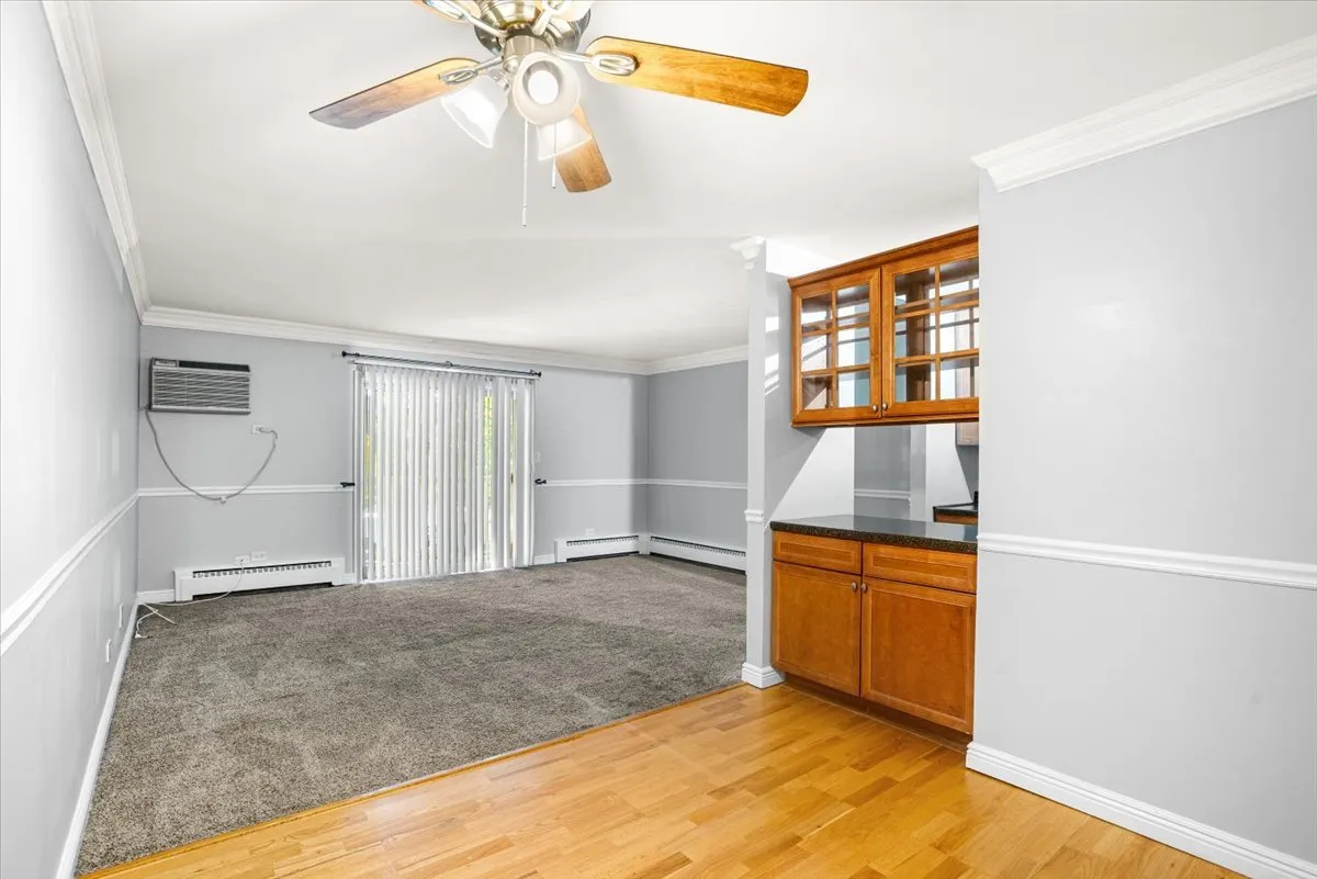 910 W Alleghany Drive 2A IL