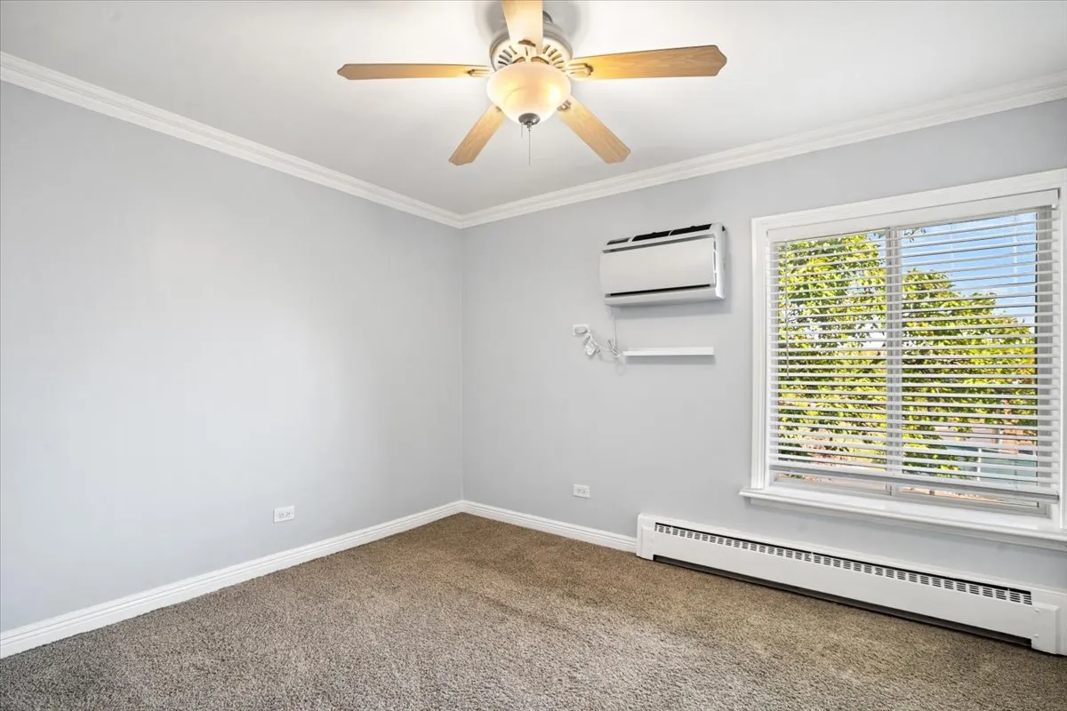910 W Alleghany Drive 2A IL
