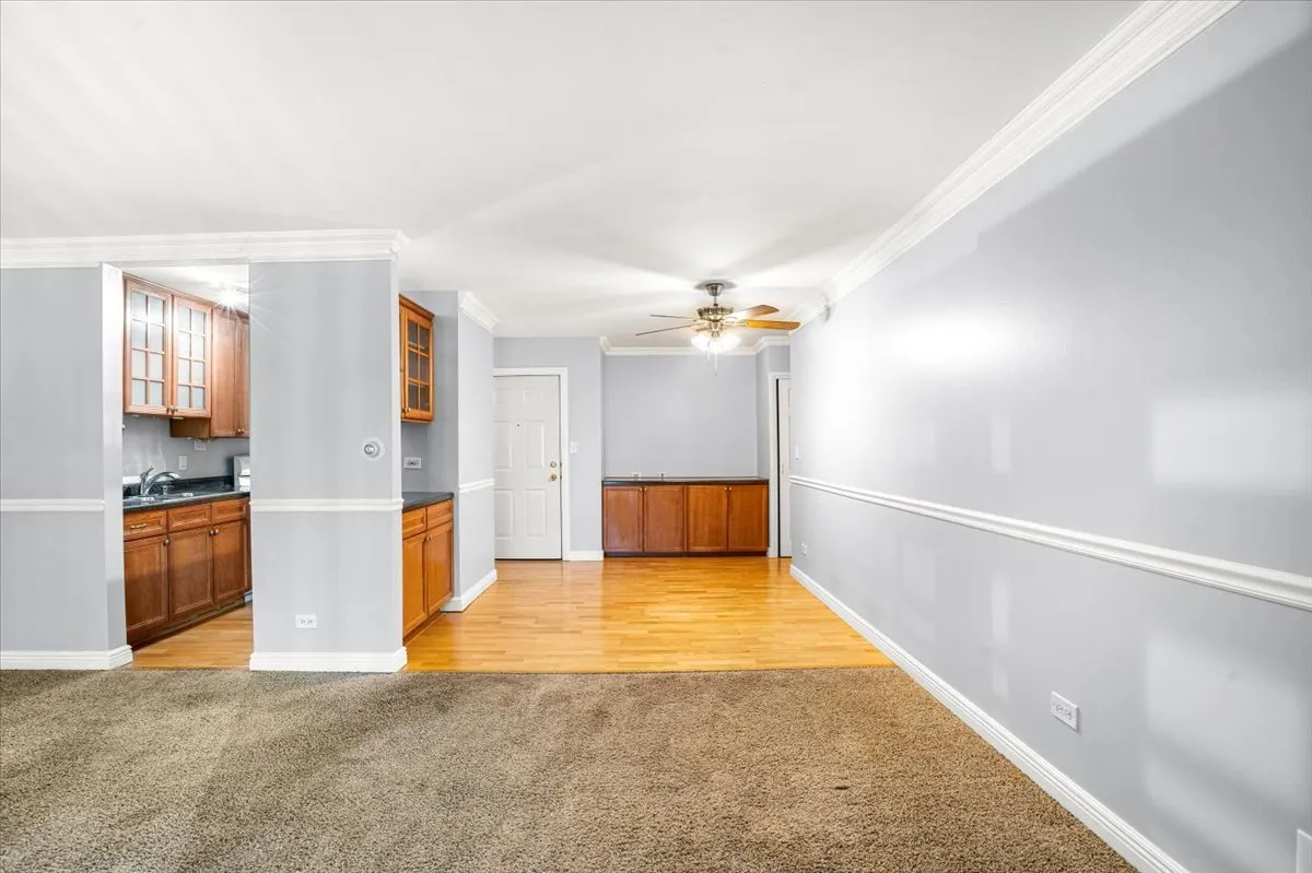 910 W Alleghany Drive 2A IL