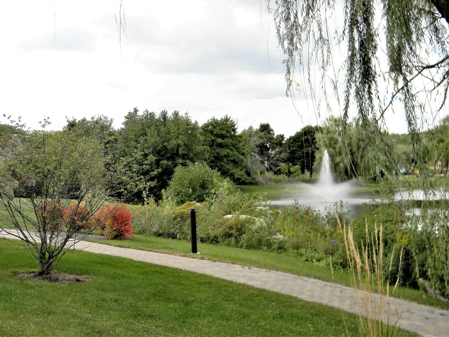 662 E Algonquin Road 5102 IL