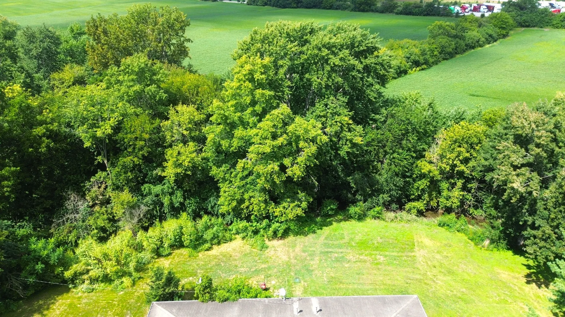 1703 Pinewood Lane IL