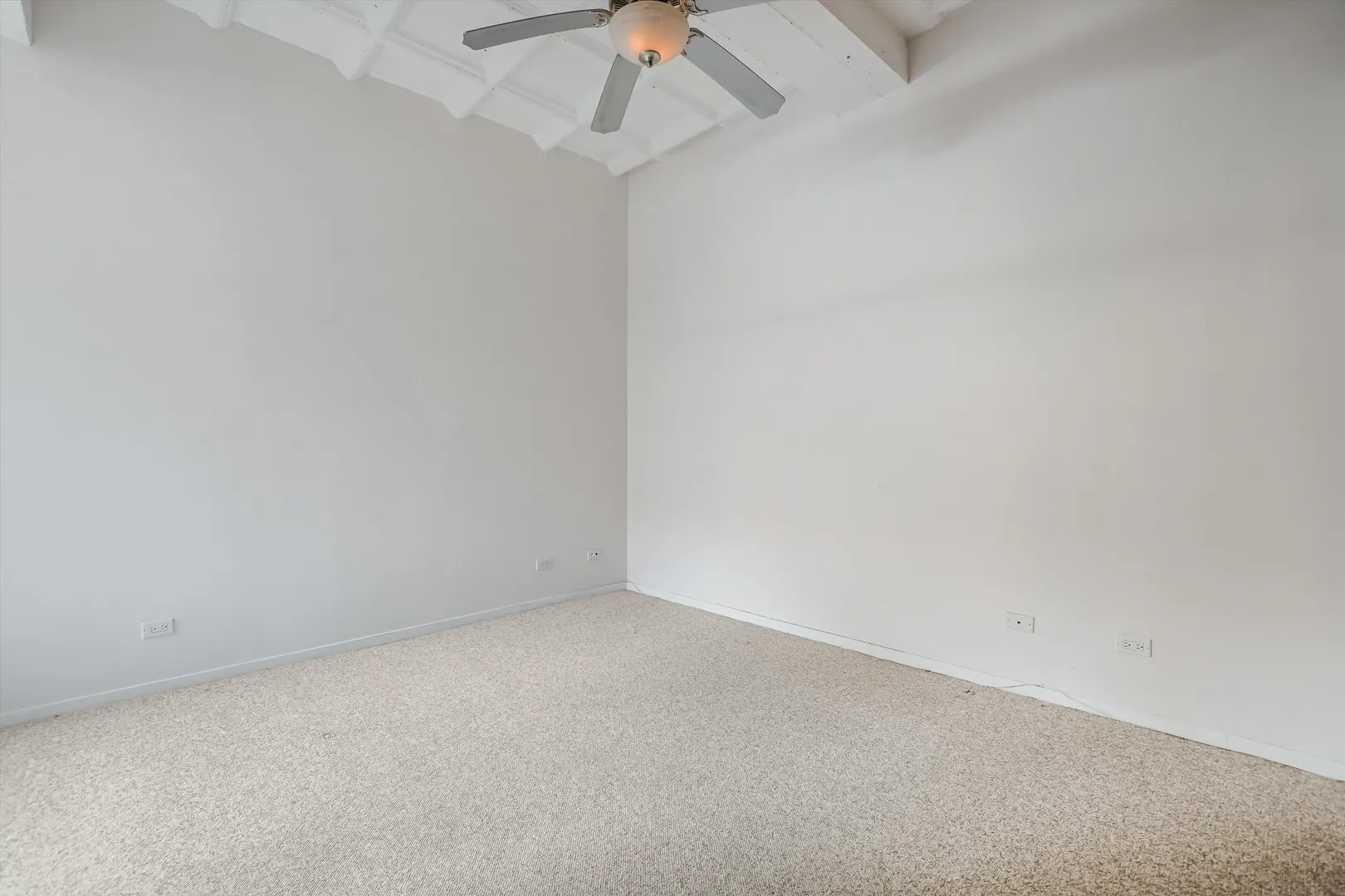 1307 S wabash Street 308 IL