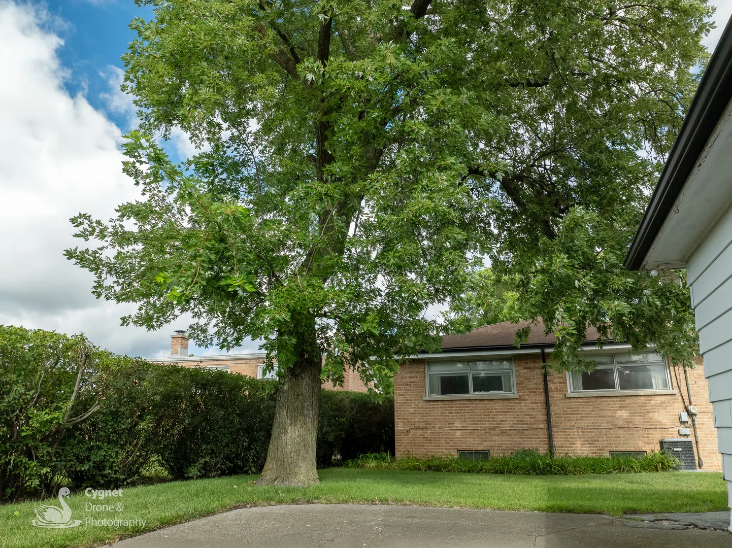 8748 N Olcott Avenue IL