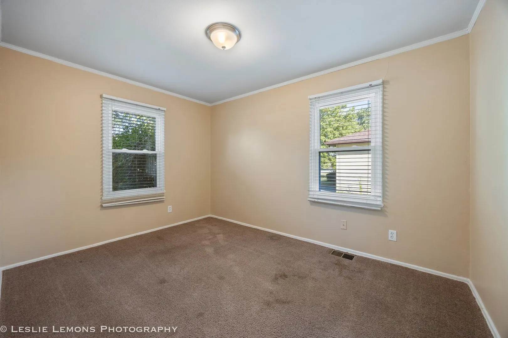 1102 Krings Lane IL