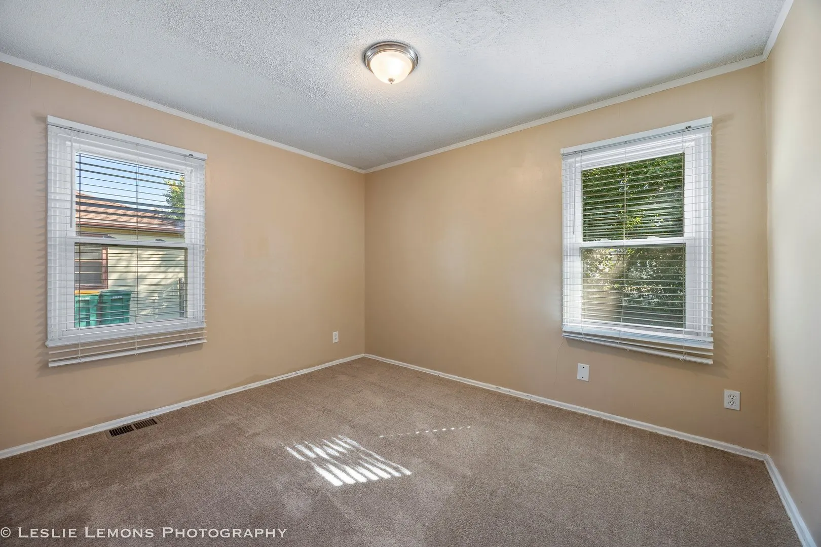 1102 Krings Lane IL