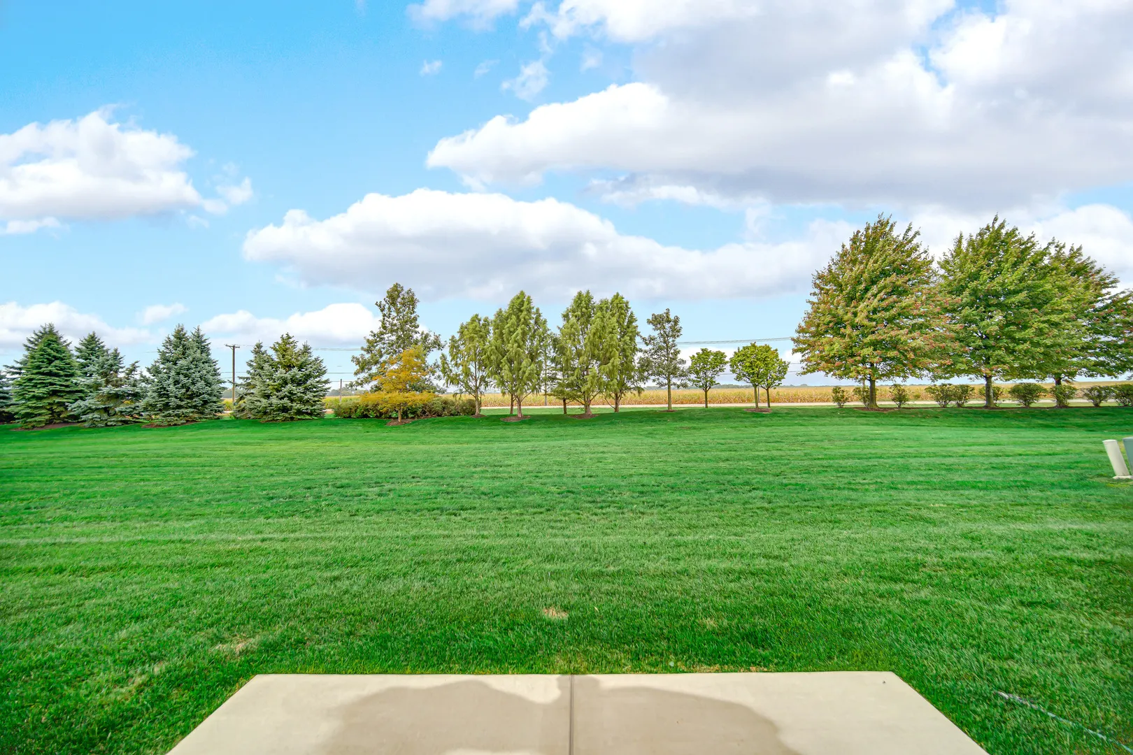 3401 Helene Rieder Drive IL