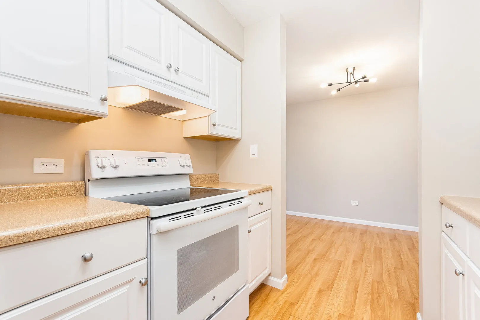 6165 Knoll Wood Court 302 IL