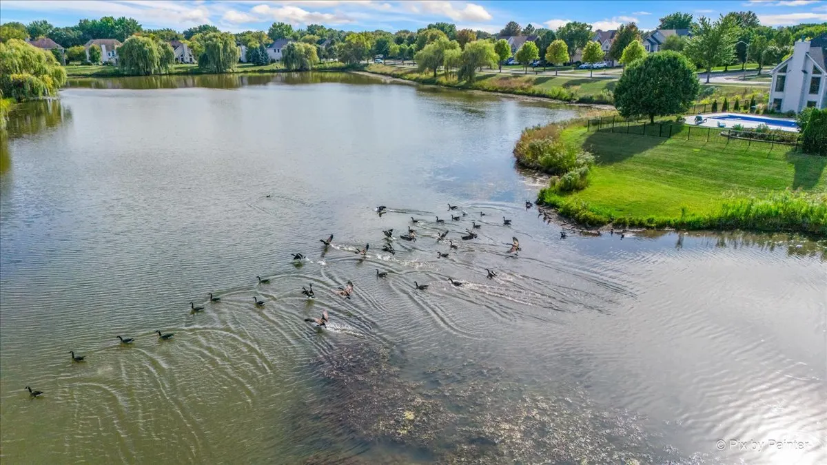 438 Mallard Point Drive IL
