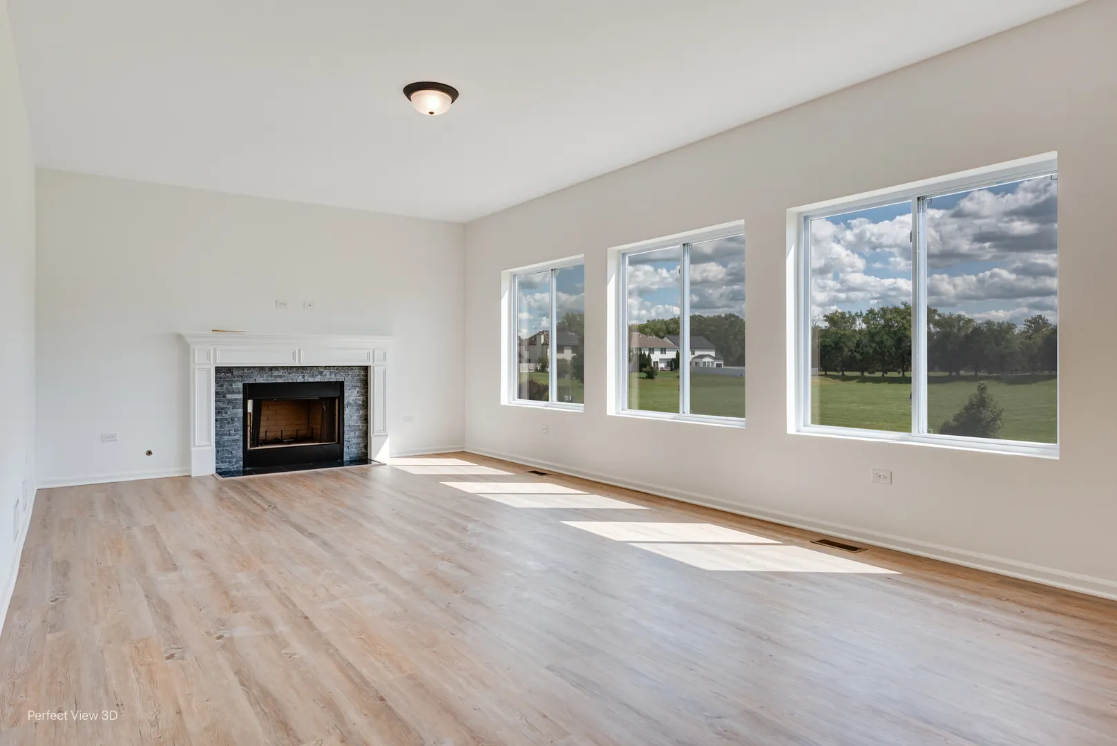 25930 W Winding Hollow Drive IL