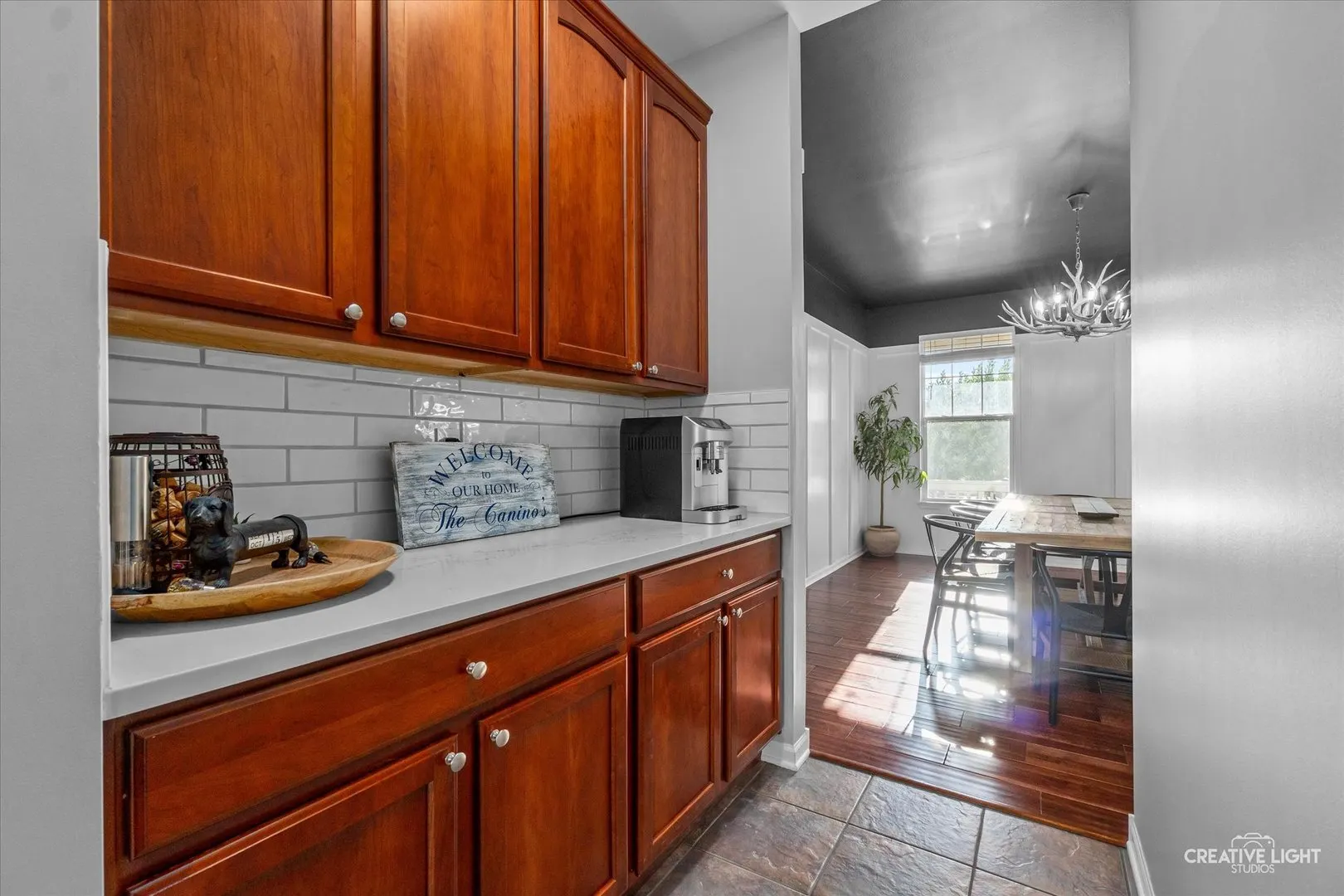 12802 Grande Poplar Circle IL