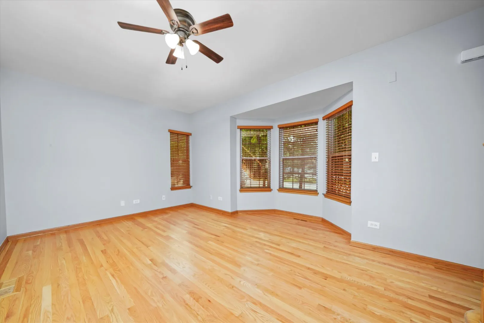 1342 LUNT Court IL