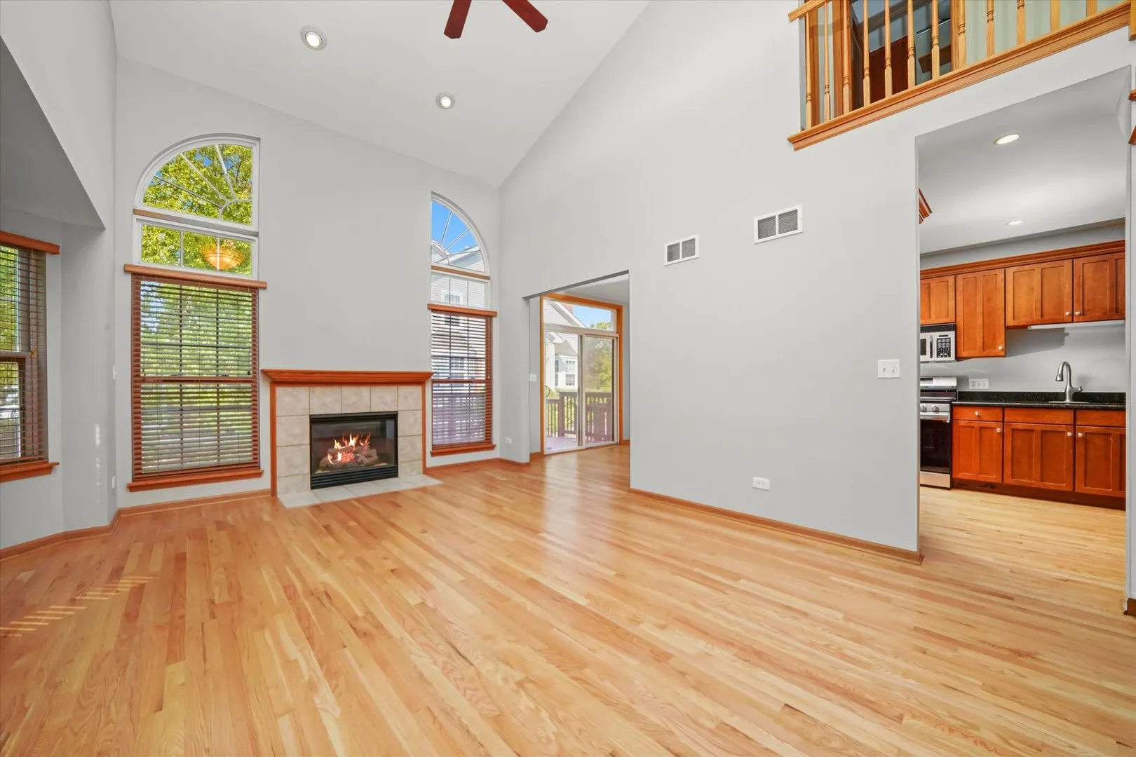 1342 LUNT Court IL
