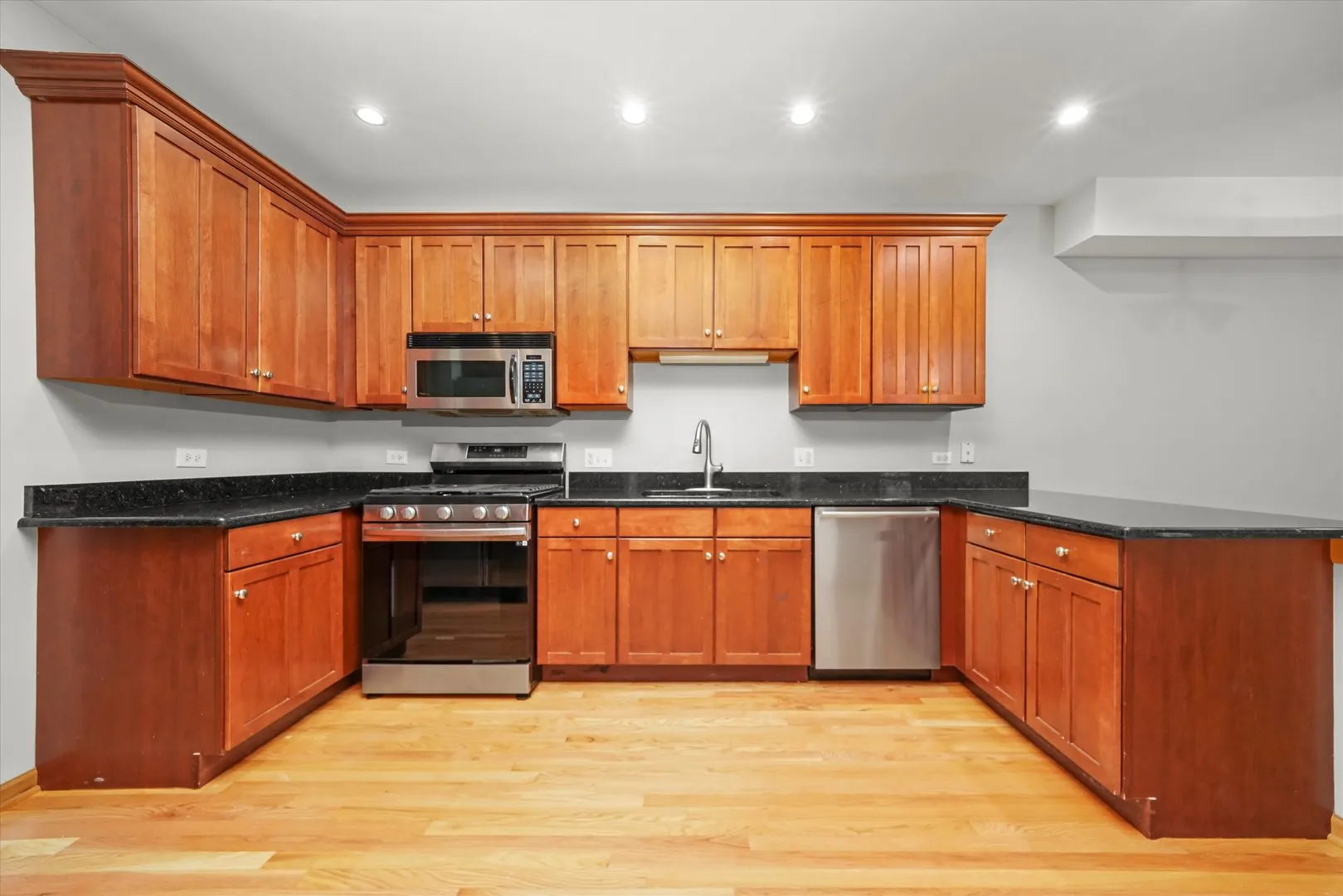 1342 LUNT Court IL