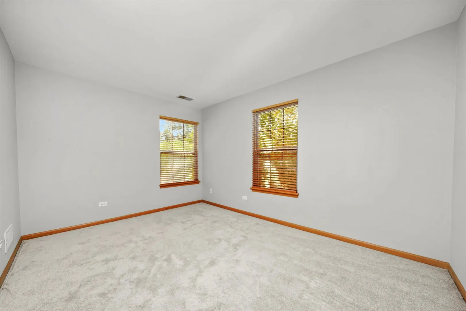 1342 LUNT Court IL