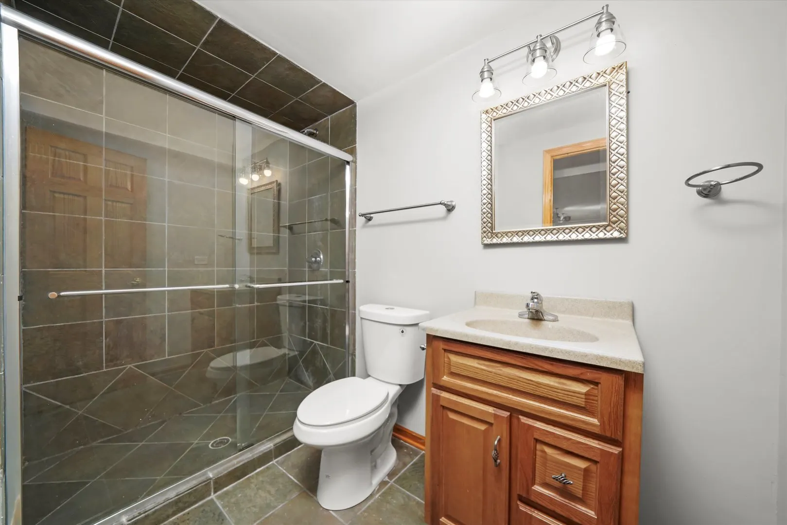1342 LUNT Court IL