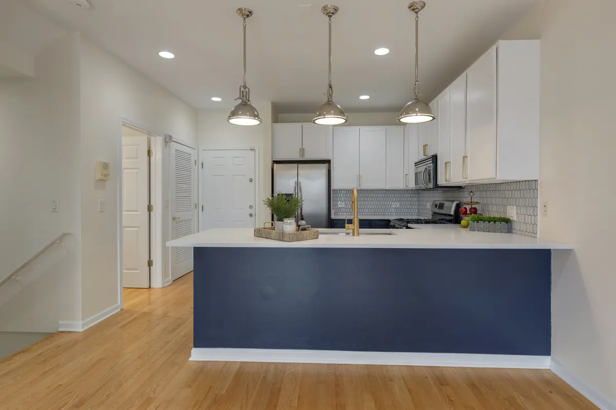 1151 E 45th Street 1151 IL