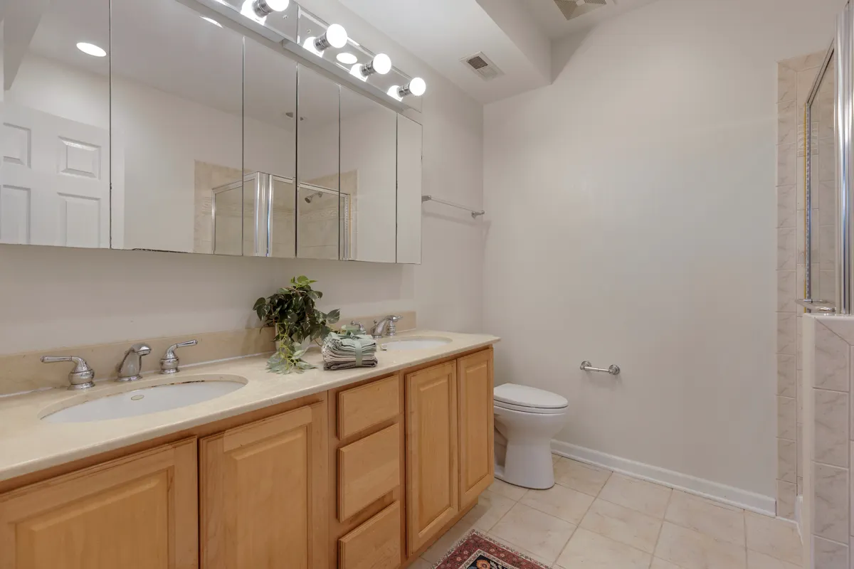 1151 E 45th Street 1151 IL