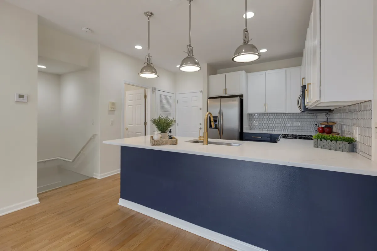 1151 E 45th Street 1151 IL