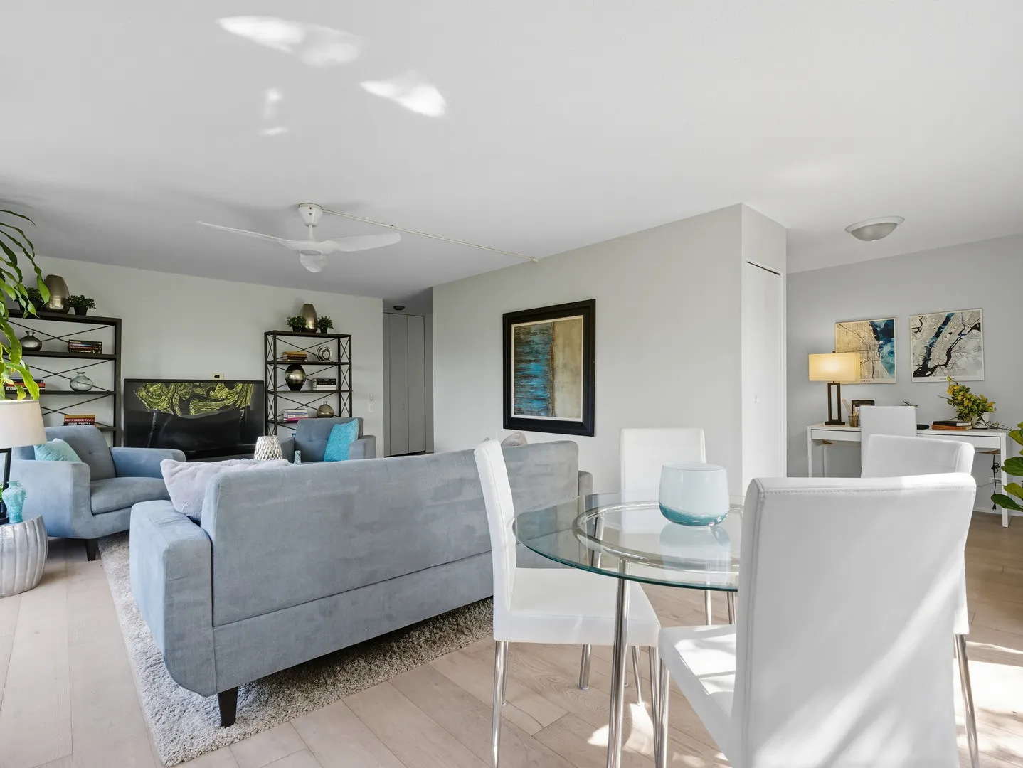 1143 S Plymouth Court 407 IL