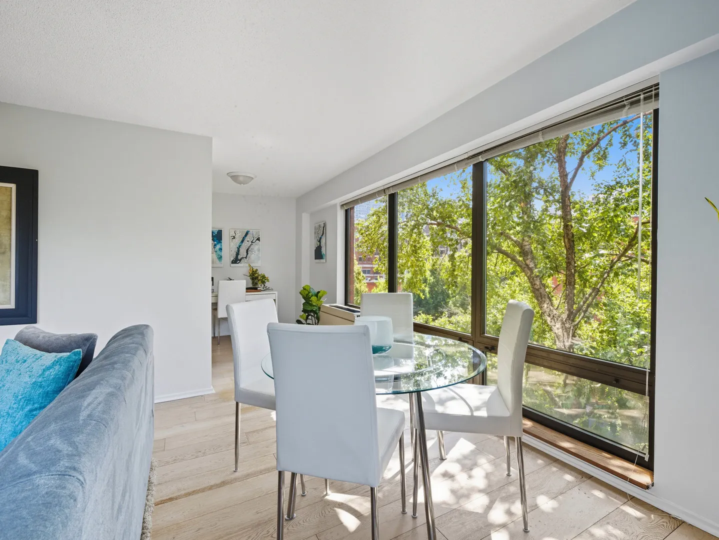 1143 S Plymouth Court 407 IL