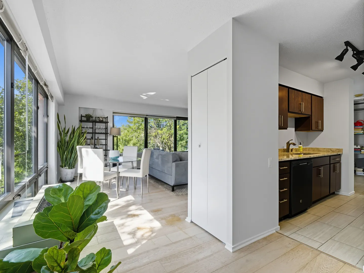 1143 S Plymouth Court 407 IL