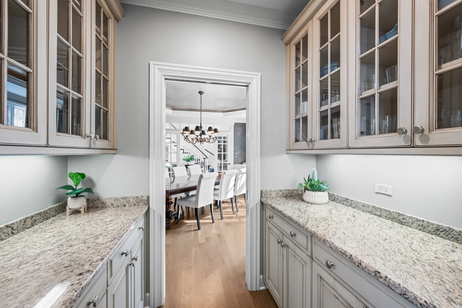 35 Riderwood Road IL