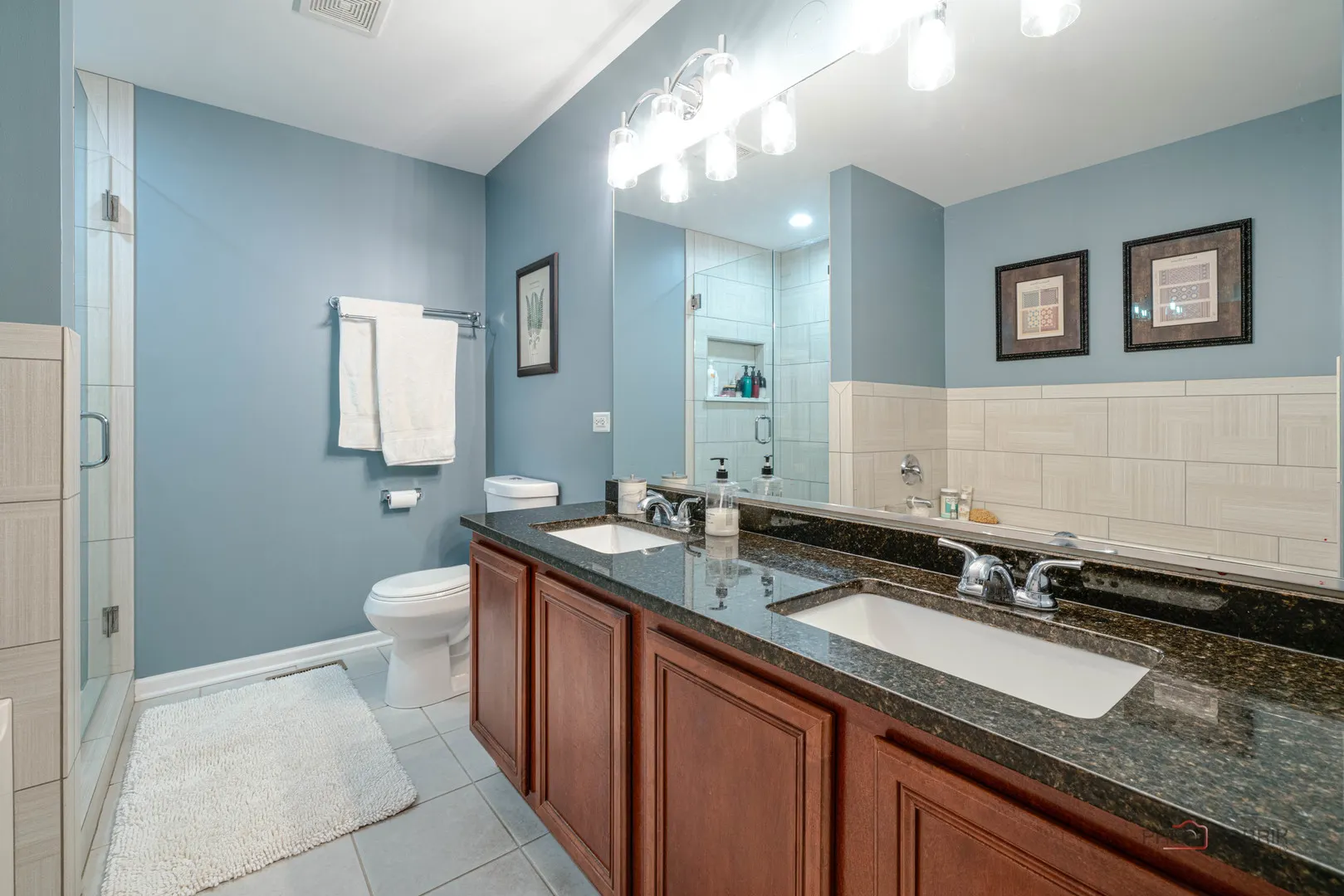 1260 Water Stone Circle IL