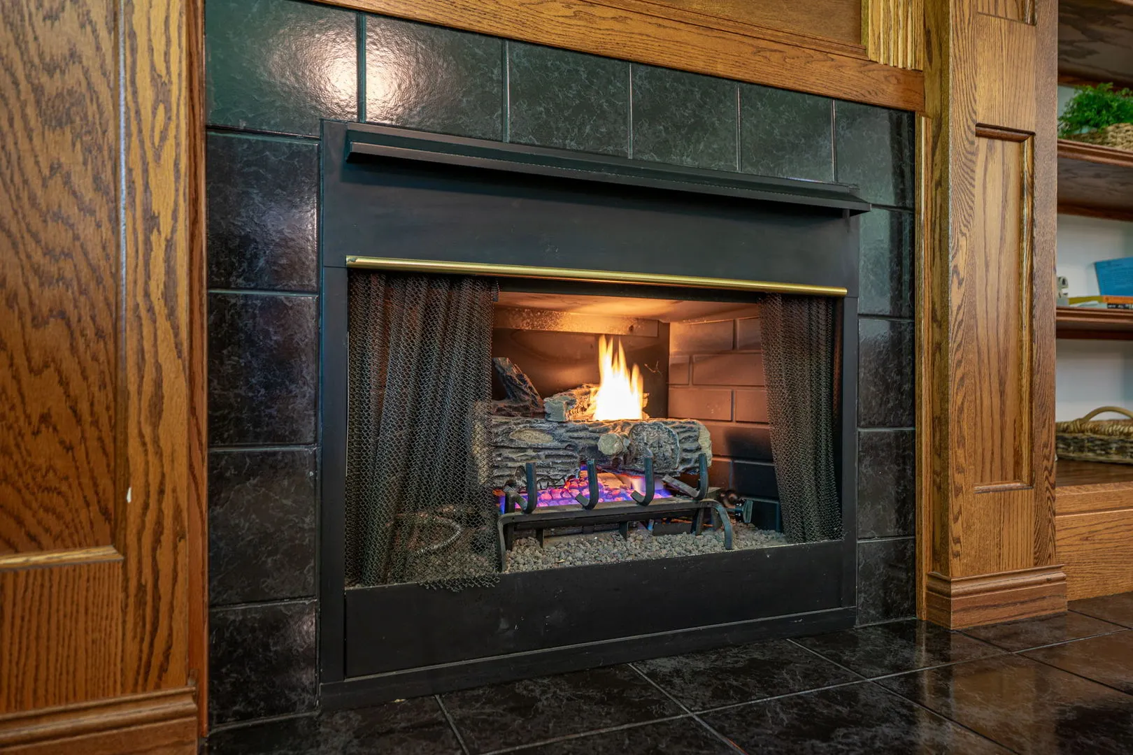 1313 Chatham Lane IL