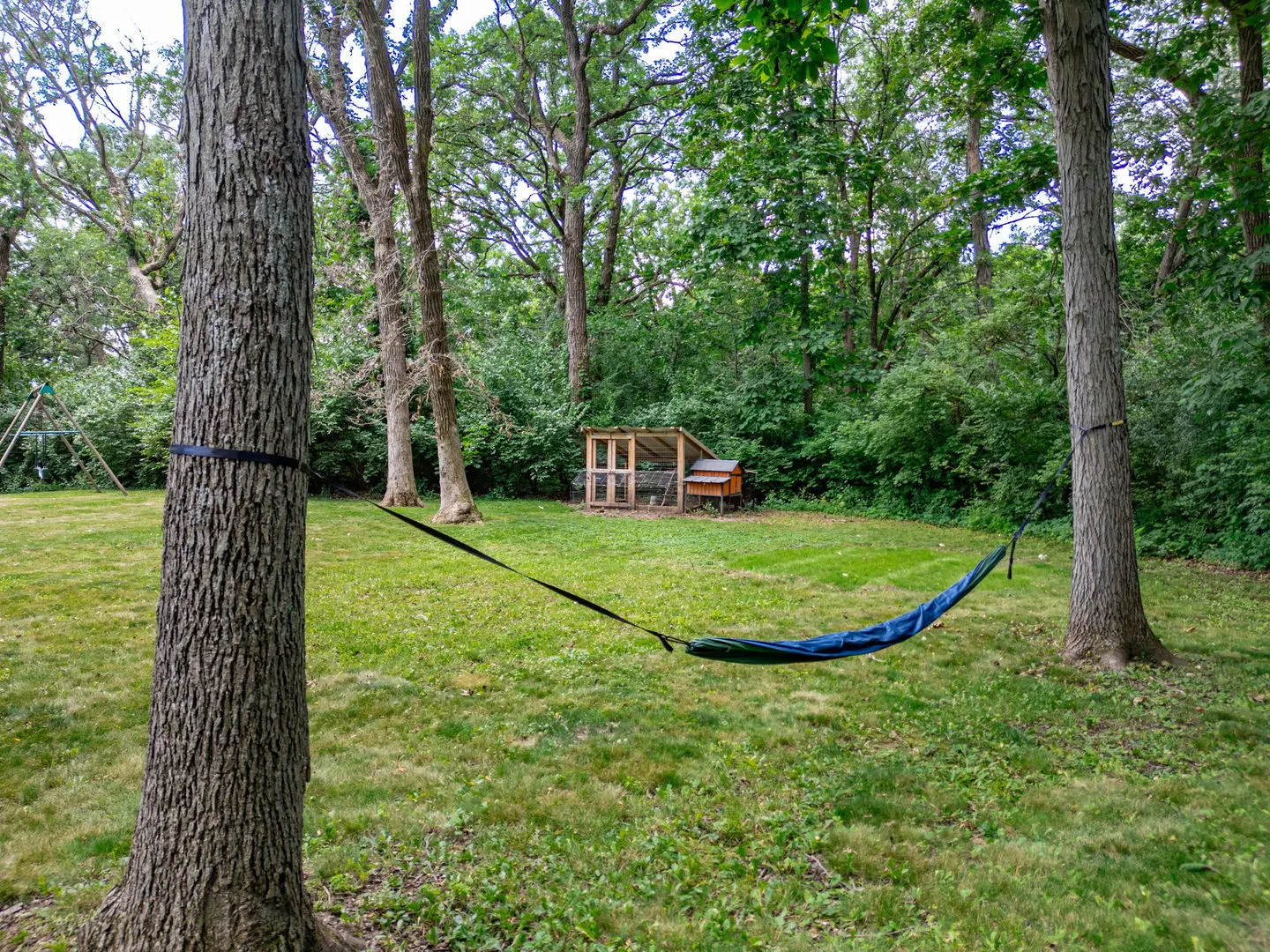 1313 Chatham Lane IL