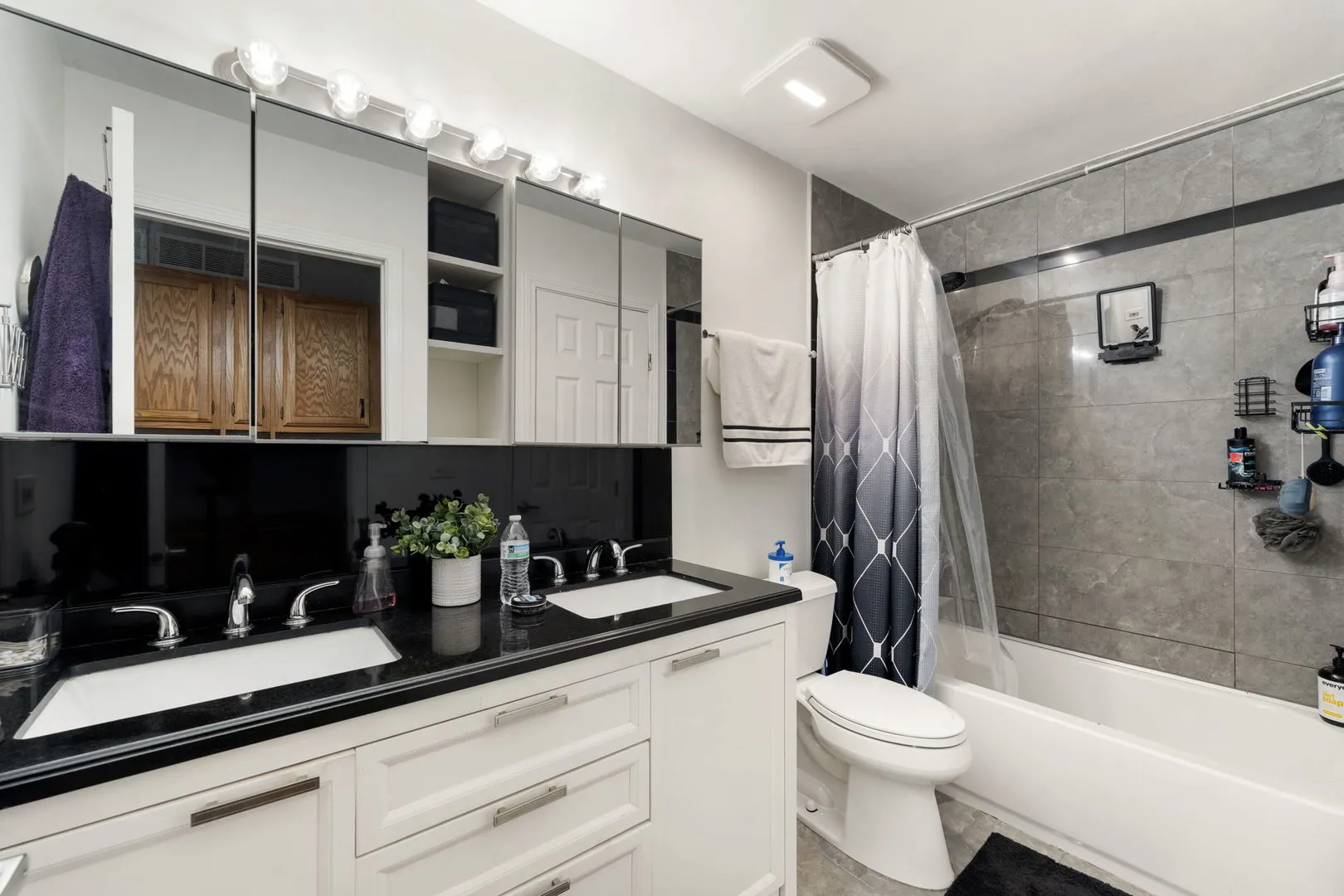 24 Fillmore Lane IL