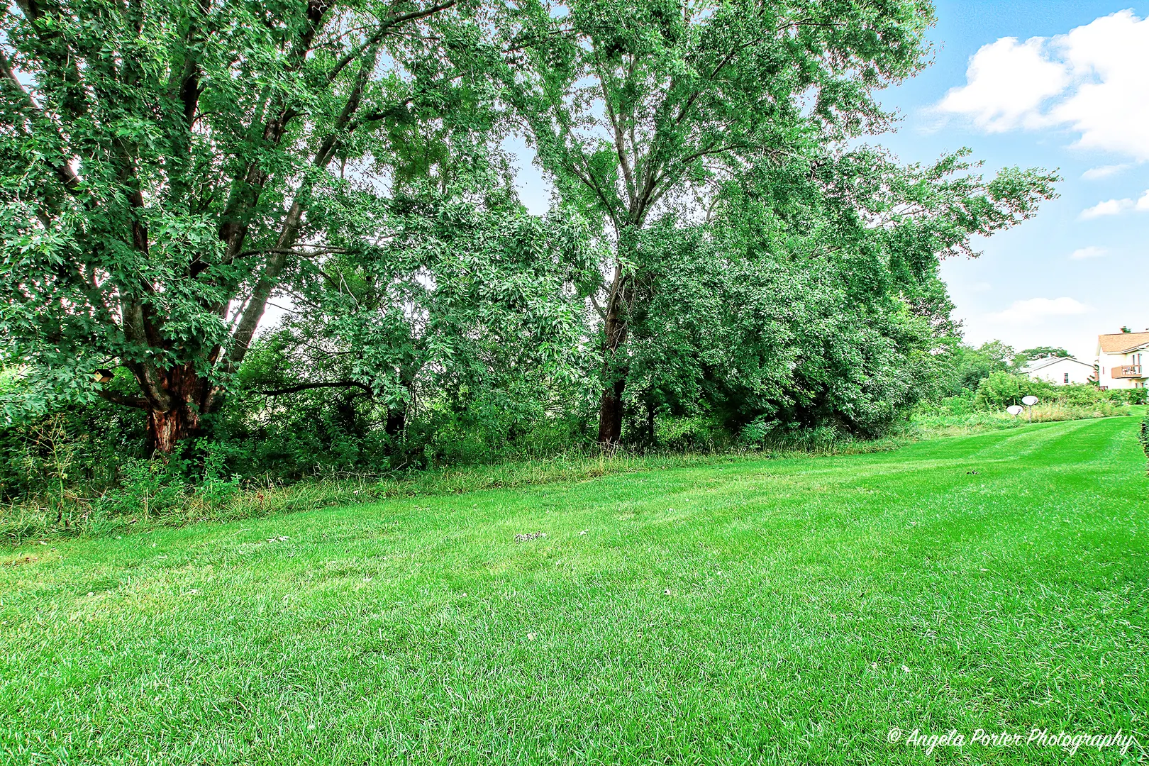 207 N Creekside Trail B IL