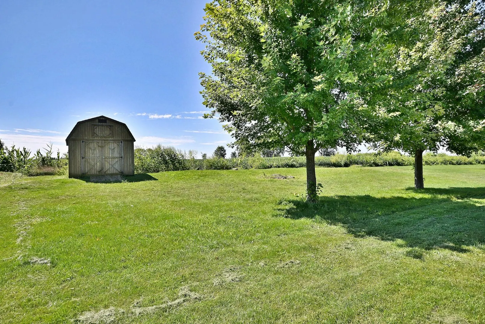 506 E Rennesoy Drive IL