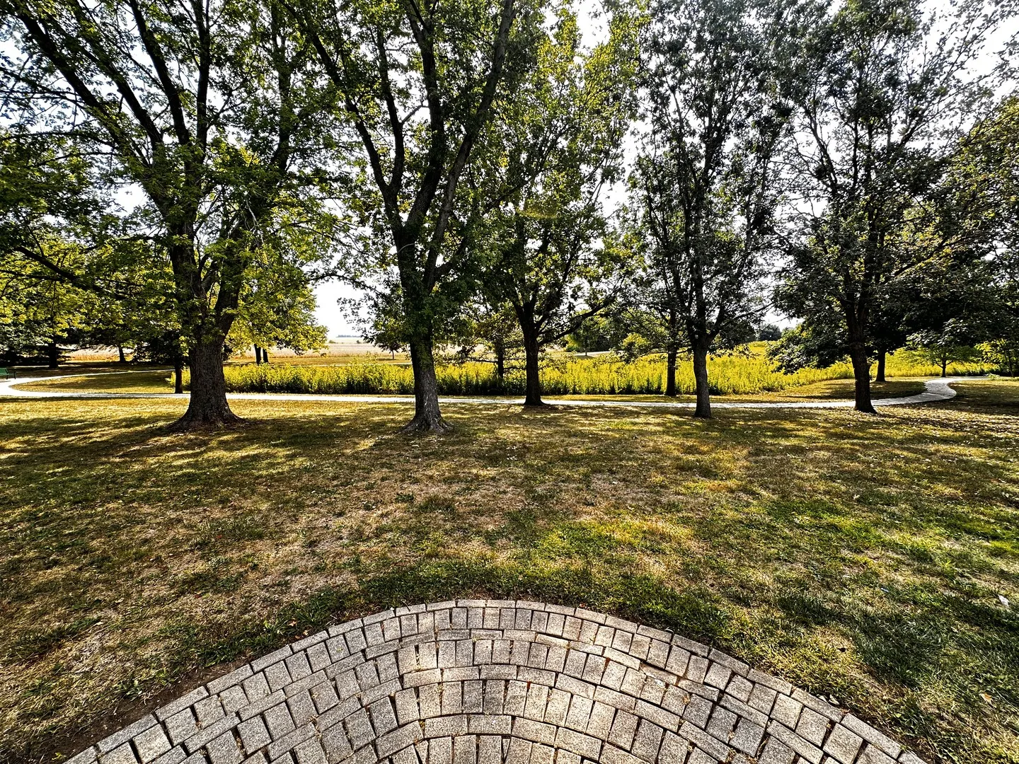2006 Park Ridge Drive IL