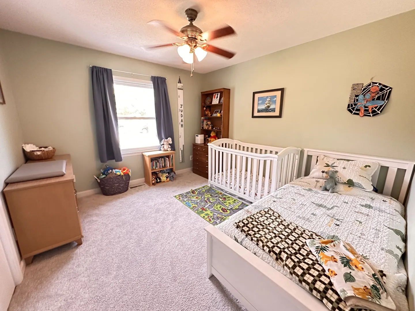 2006 Park Ridge Drive IL