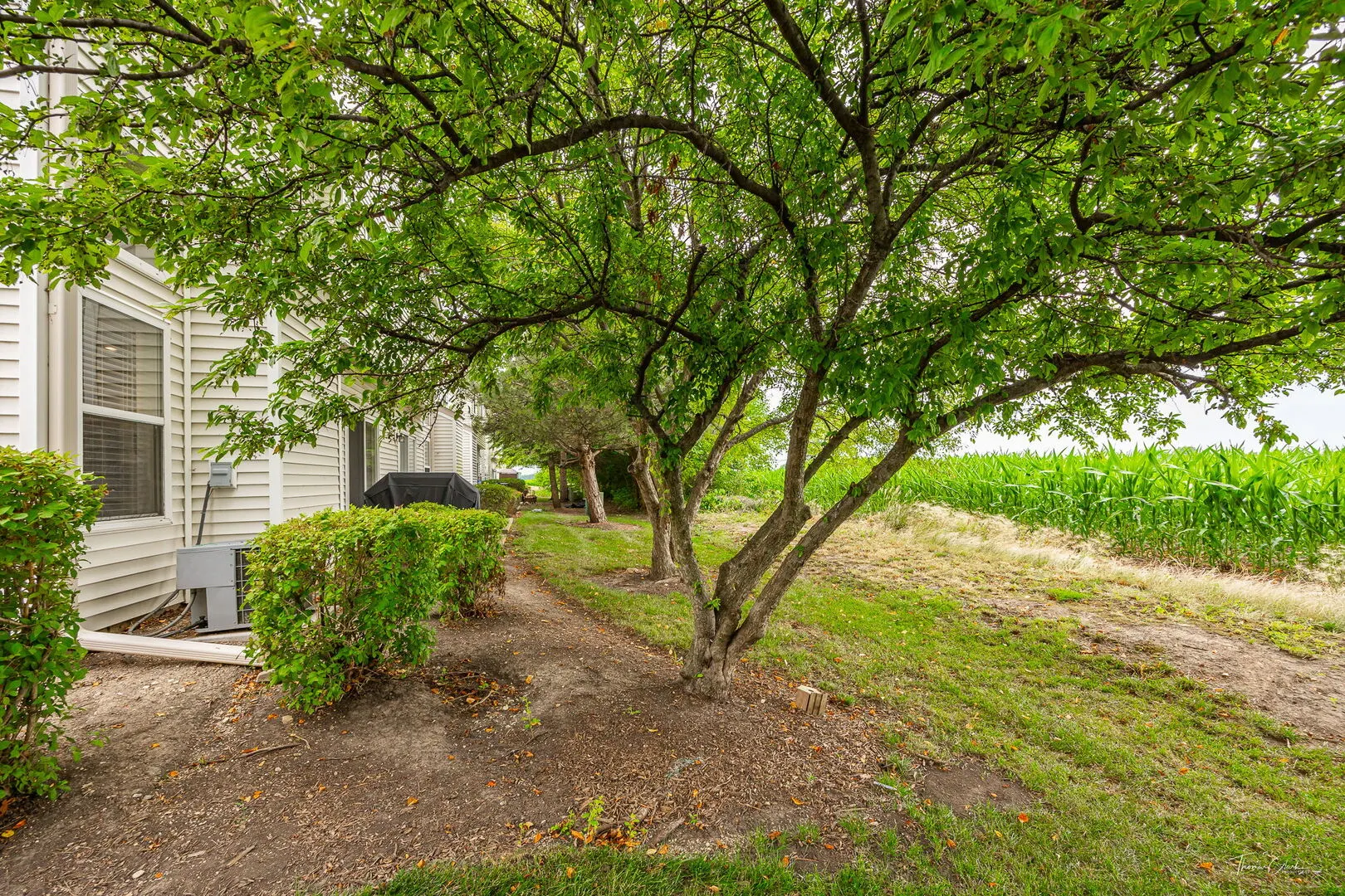 7015 CLEARWATER Drive 7015 IL