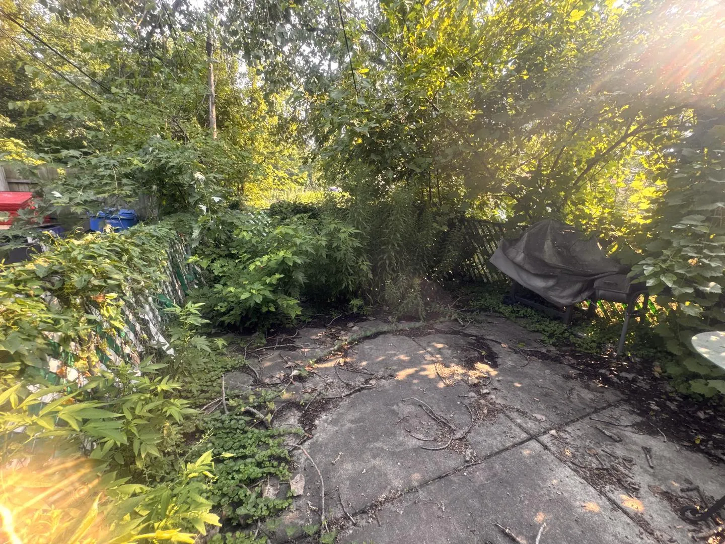 639 W 80th Street IL