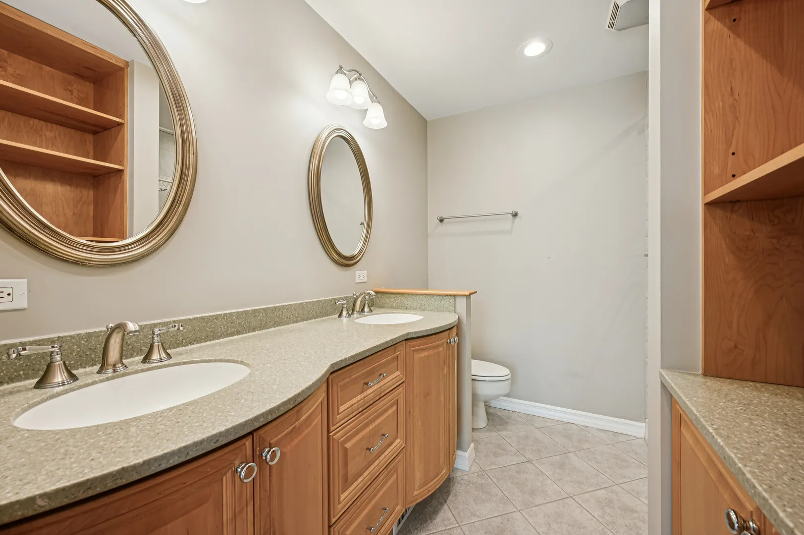1333 N Sandburg Terrace IL