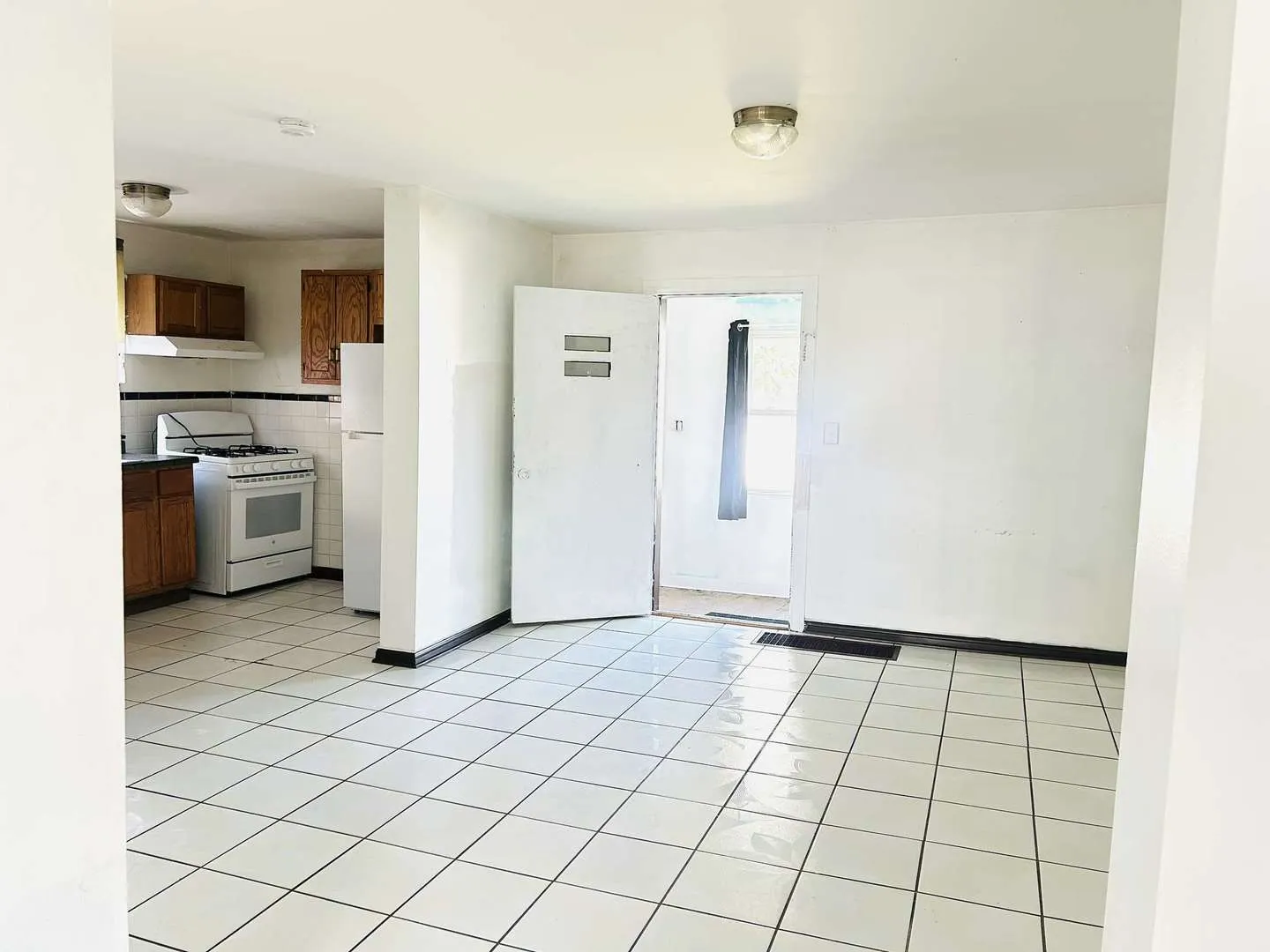 344 E 117th Street IL