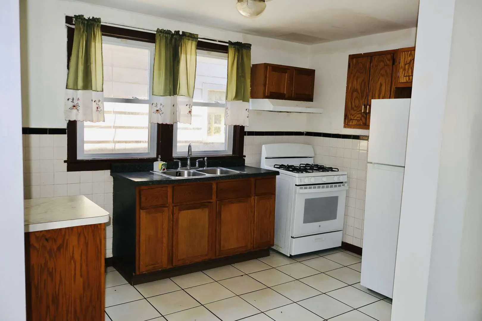 344 E 117th Street IL