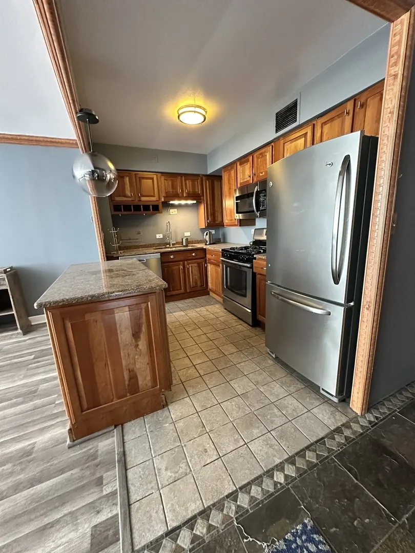 1000 N Lake Shore Drive 1007 IL
