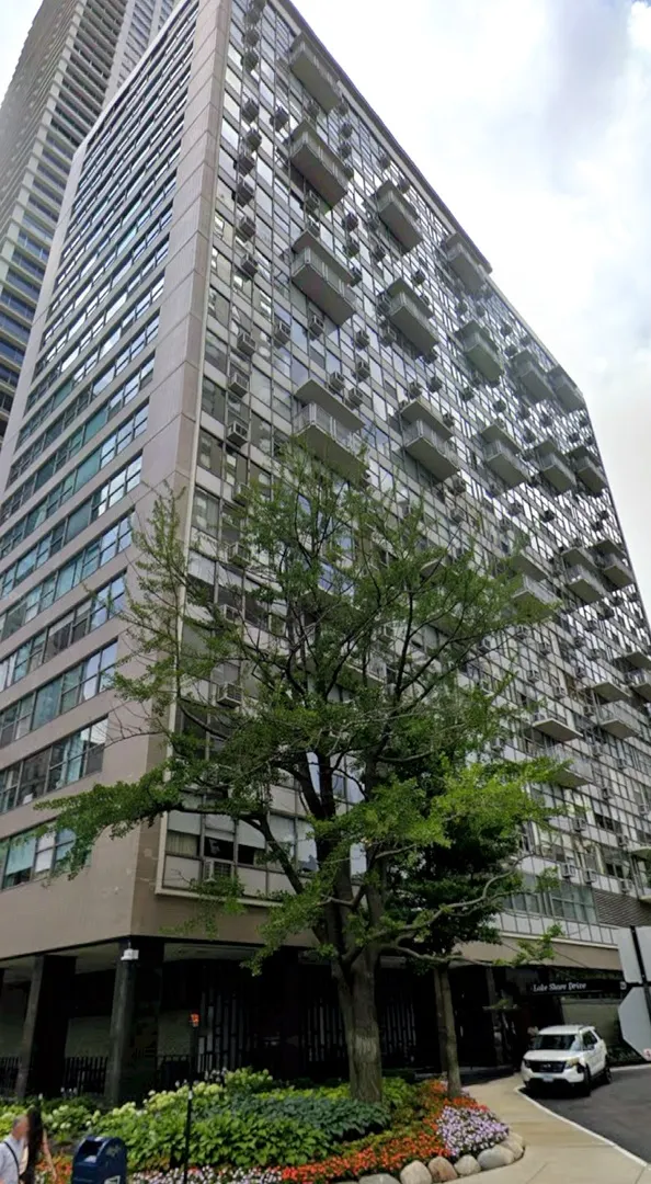 1000 N Lake Shore Drive 1007 IL